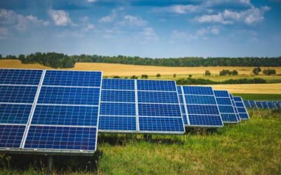 Solar Energy for Farmers: Top Pros and Cons